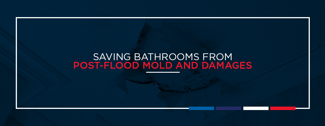 Saving bathrooms from post flood mold and damages