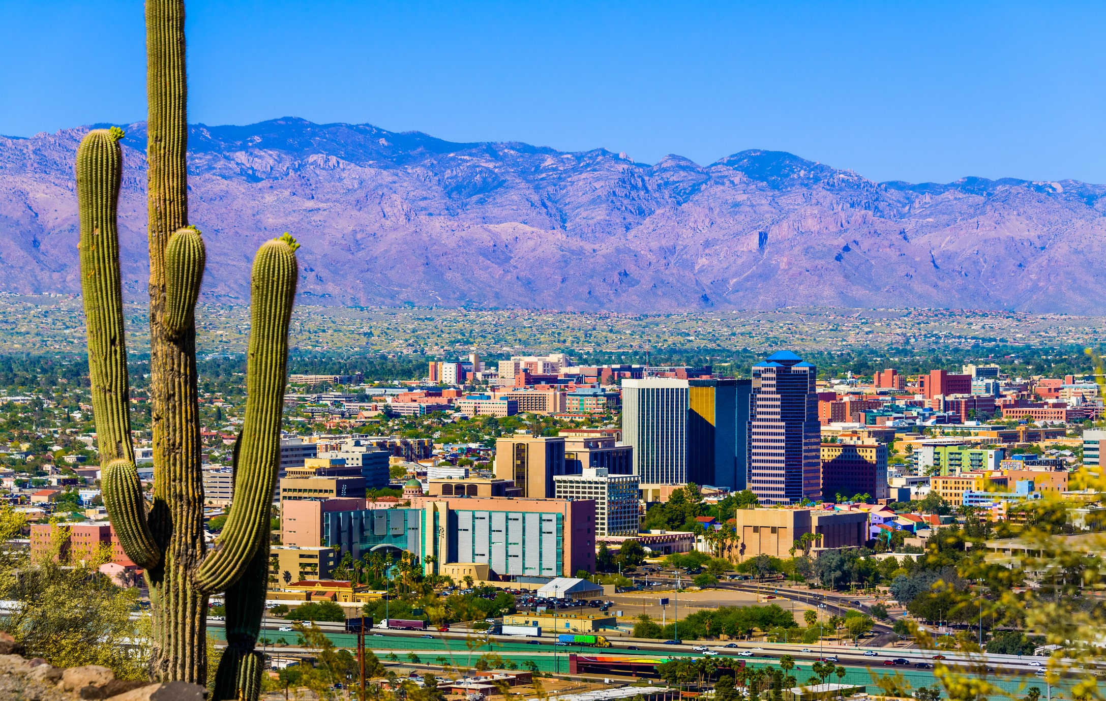 Arizona Landscape